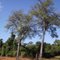 PERCISTENCIA DA NATUREZA....