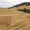 Straw on Hill