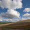 Palouse Country