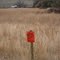 Pheasants Forever Habitat