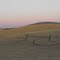 Wheat Field Art