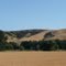 Palouse 1