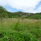PE 145 ANTES DE CHEGAR EM FAZENDA NOVA PE