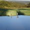 Quero-queros na beira da estrada Teixeira - Imbituva