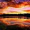 Reflexo