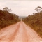 MT 248_1983 - MT