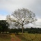 julho.09