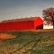 Red Oak, Red Barn, Sunset. . .
