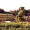 The Pond at the Lee family farm