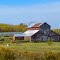 Country Farm