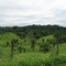 Fazenda de Gado