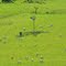 Paisagem Rural