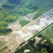 65.タブレイロス台地上の白砂　White sand on tabuleiros (uplands) in Goiana, Pernambuco