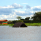 Pantanal Cheia!!