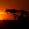 Por do Sol no Pantanal
