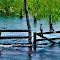 Estradas alagadas no Pantanal.