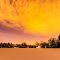 Field of Snow