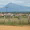 Morro de Condeúba visto do Matadouro