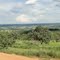 Vista da GO 219