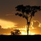 Pôr-do-Sol no Cerrado - Goiás - BRASIL