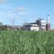 Fábrica de sucre