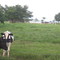 sitio Betânia
