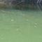 Rio Manso - MT