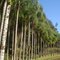 Parque Malwee; Jaragua do sul Sc
