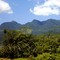 Jaraguá do Sul - SC - Brasil
