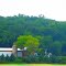 Pleasant Springs Township Farm
