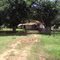 Fazenda Santa Helena - Ap. do Taboado
