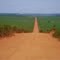 Caminho da Sustentabilidade