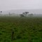 Chuva vista da Rodovia MG-400 Buritis