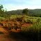 Vista do que tens que subir (pedal 81,4km)