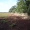 Cadastro de Compromisso Socioambiental - Fazenda Boa Esperança - Cadastrada desde 2011