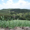 Sítio Paulo Grande -Eng primavera Cucaú -RIo Formoso PE
