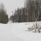 Snowy Sarah Palin Home