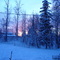 Backyard Sunset