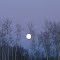 Winter moon
