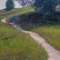 Boardwalk on dunes at Kohler Andrae St. Park