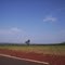 Rodovia MG 427 Photo - 02