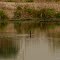 Lago #sc