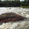 Foz do rio Apiacás