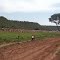 2012 - Confinamento e ao fundo a sede da fazenda