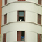 Gato "Olheiro" da Praça Júlio Mesquita