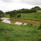 SÃO CARLOS SP.
