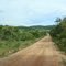 Estrada de terra de Bodoquena/Bonito perto de Fazenda Ceita Corê em Bonito - Mato Grosso do Sul - Brasil