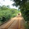 Ponte de madeira e estrada de terra de Bodoquena/Bonito perto de Fazenda Ceita Corê em Bonito - Mato Grosso do Sul - Brasil