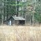 Aldo Leopold shed