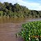 Barra do Rio Itiquira